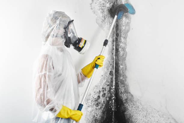 Best Dehumidification Services  in Luverne, AL