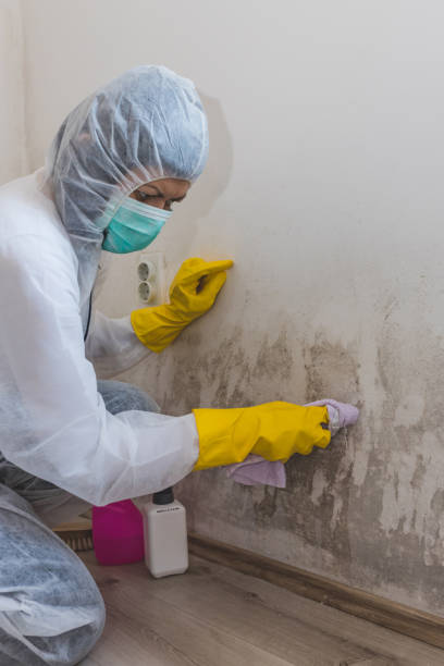 Luverne, AL Mold Removal Company